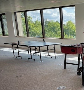 Ping Pong Table