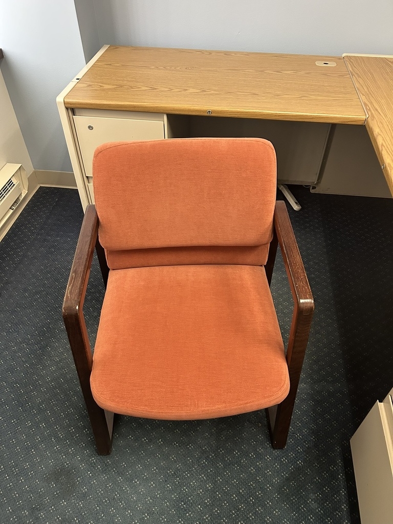 Salmon Arm Chair w Dark Wood Arms and Legs