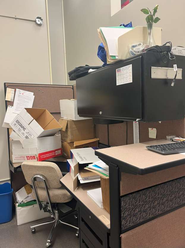 Steno Chair