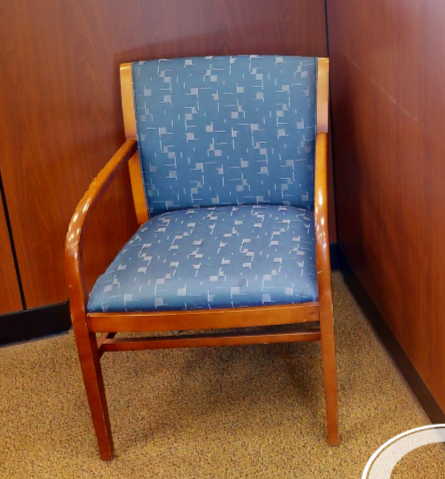 Blue Patterned Guest Chair