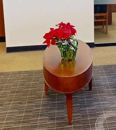 Oval coffee table