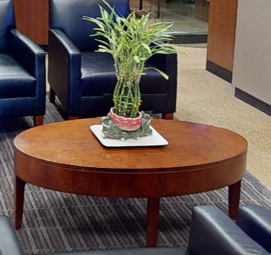 Oval coffee table