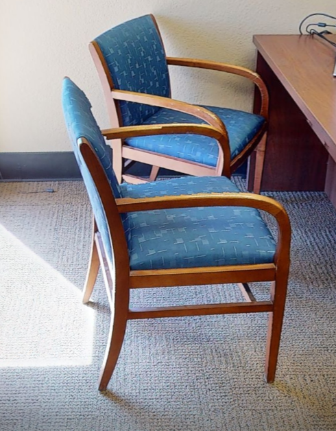 Blue patterned guest chair