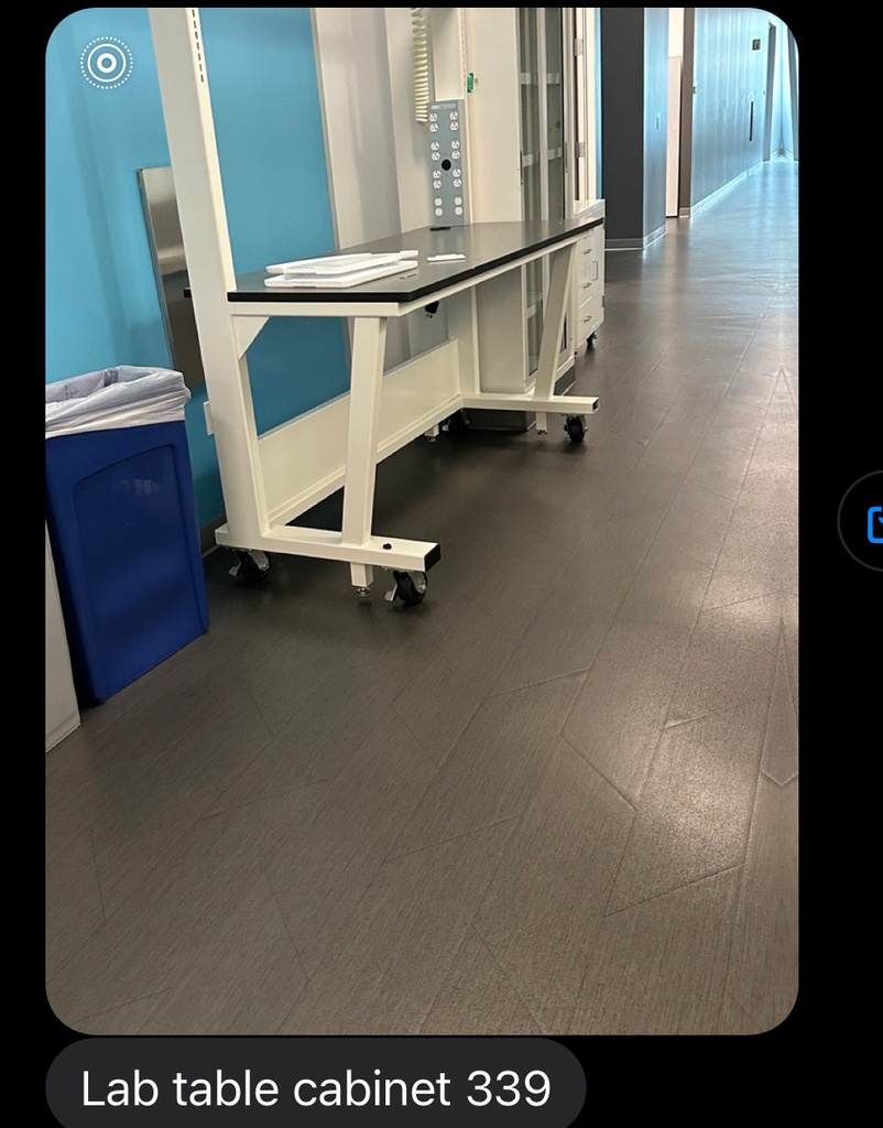 Lab table Cabinet white