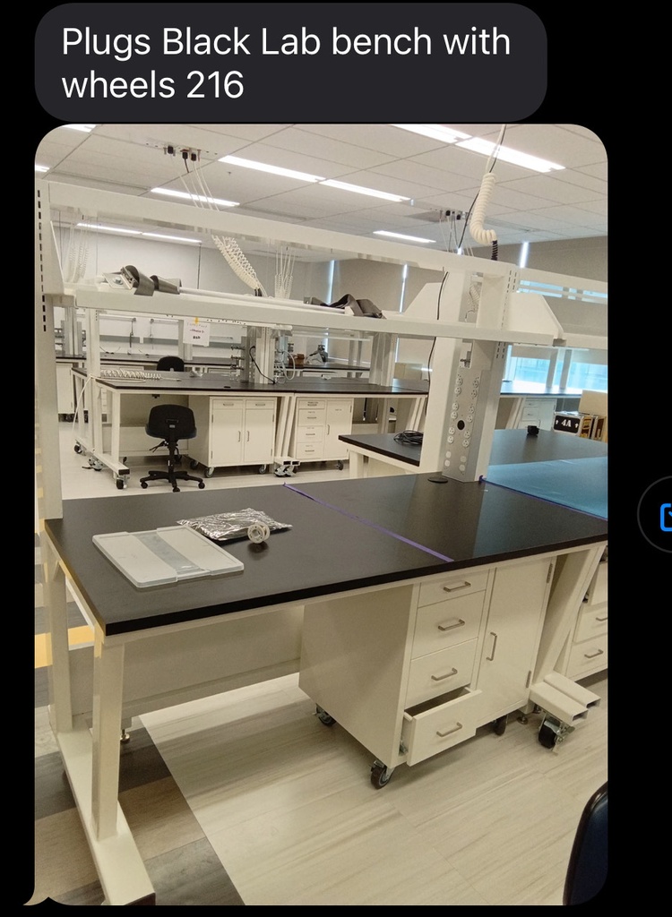 Black lab bench plug ins wheels wood