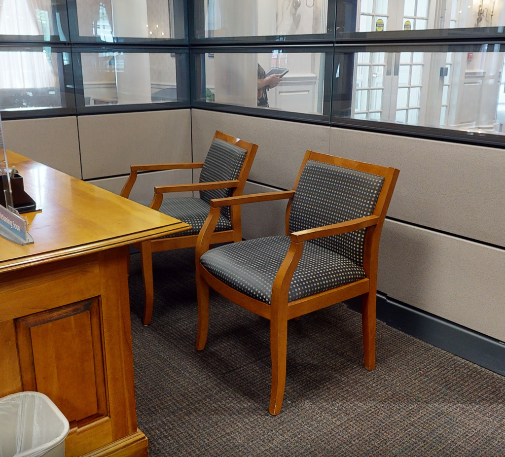 Spotted Guest Chairs