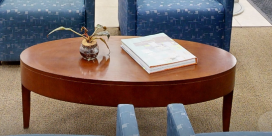 Oval wood coffee table