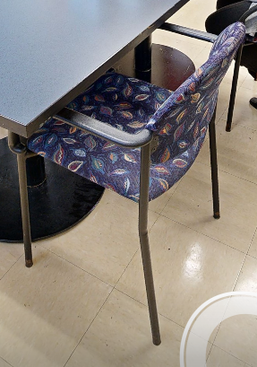 Paisely guest chairs with arms