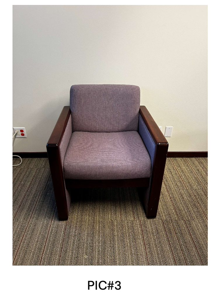 LOUNGE CHAIR, PURPLE, NO TAG