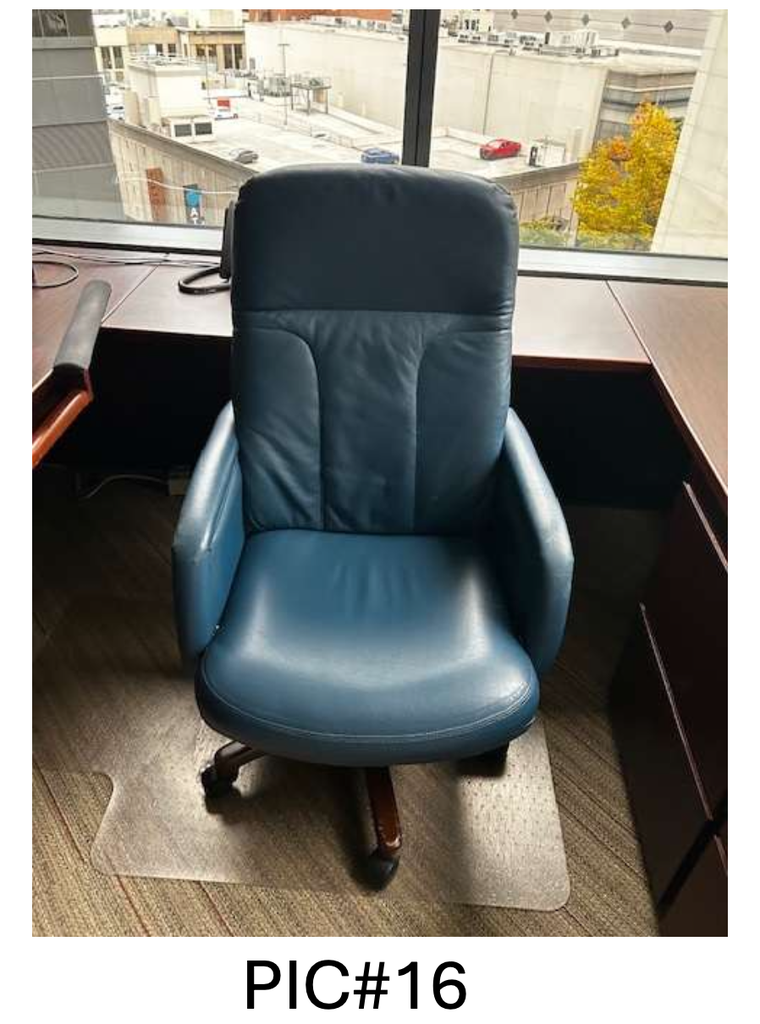 EXECUTIVE CHAIR, BLUE/LEATHER, NO TAG