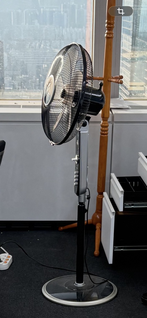 Fan