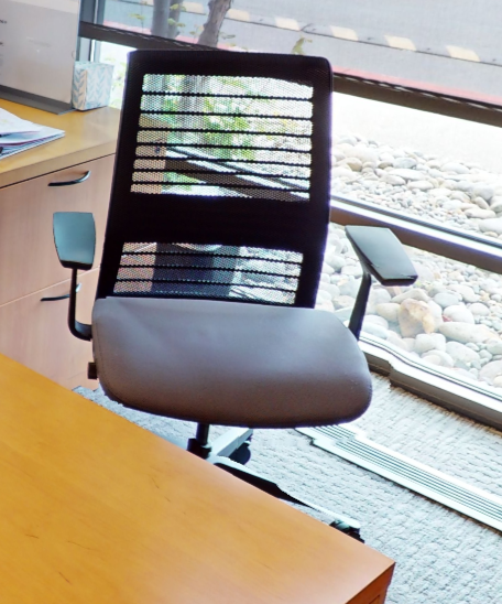 Task chair with arms