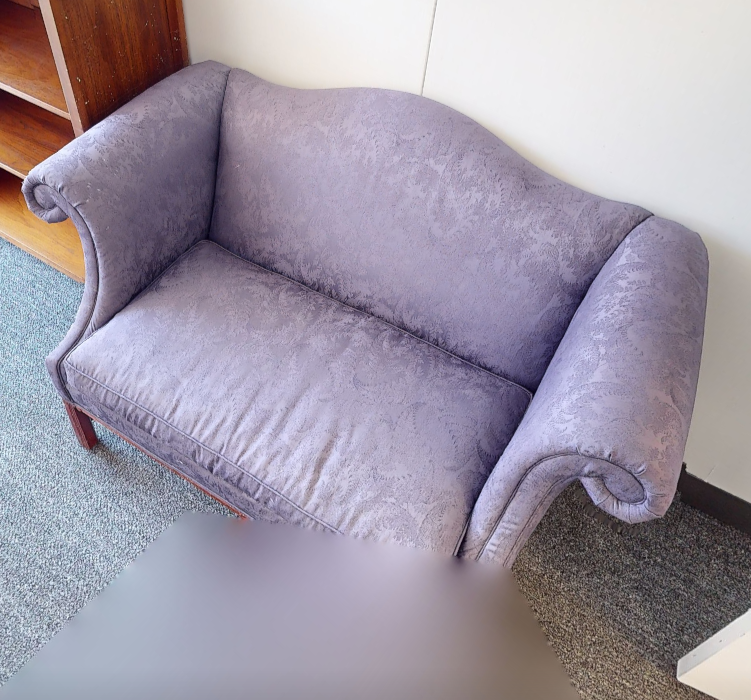 Lavender couch