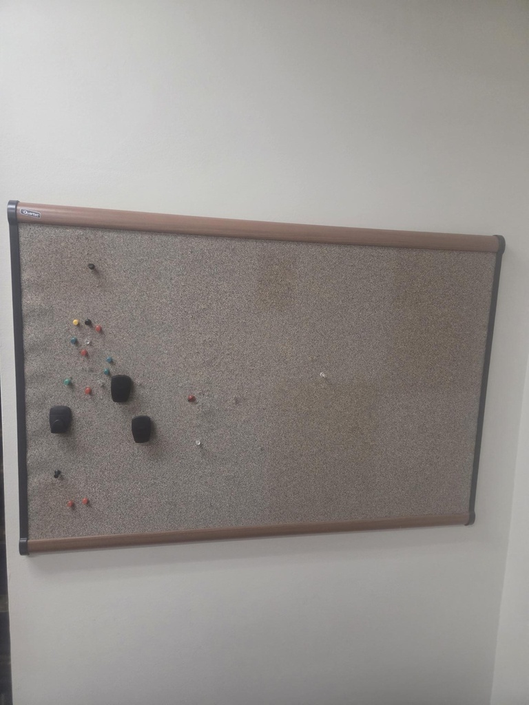 Pin board