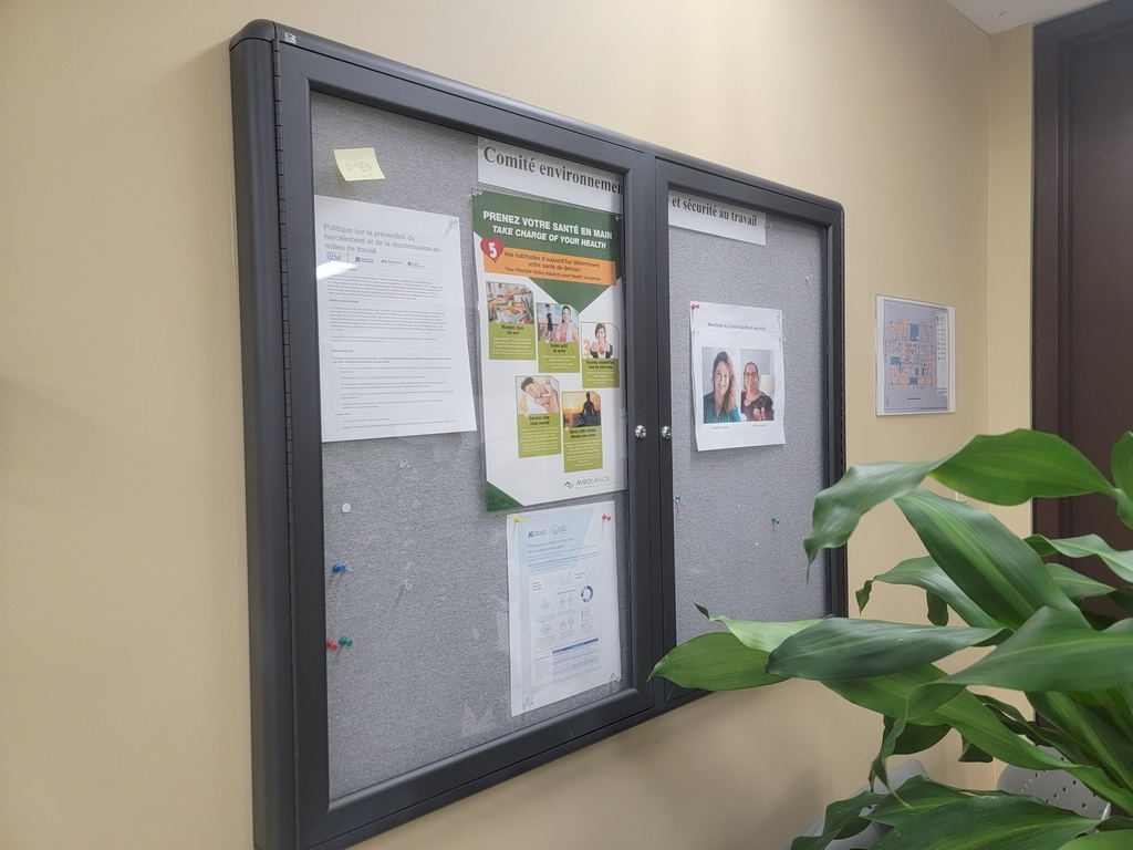 Display case W/glass doors