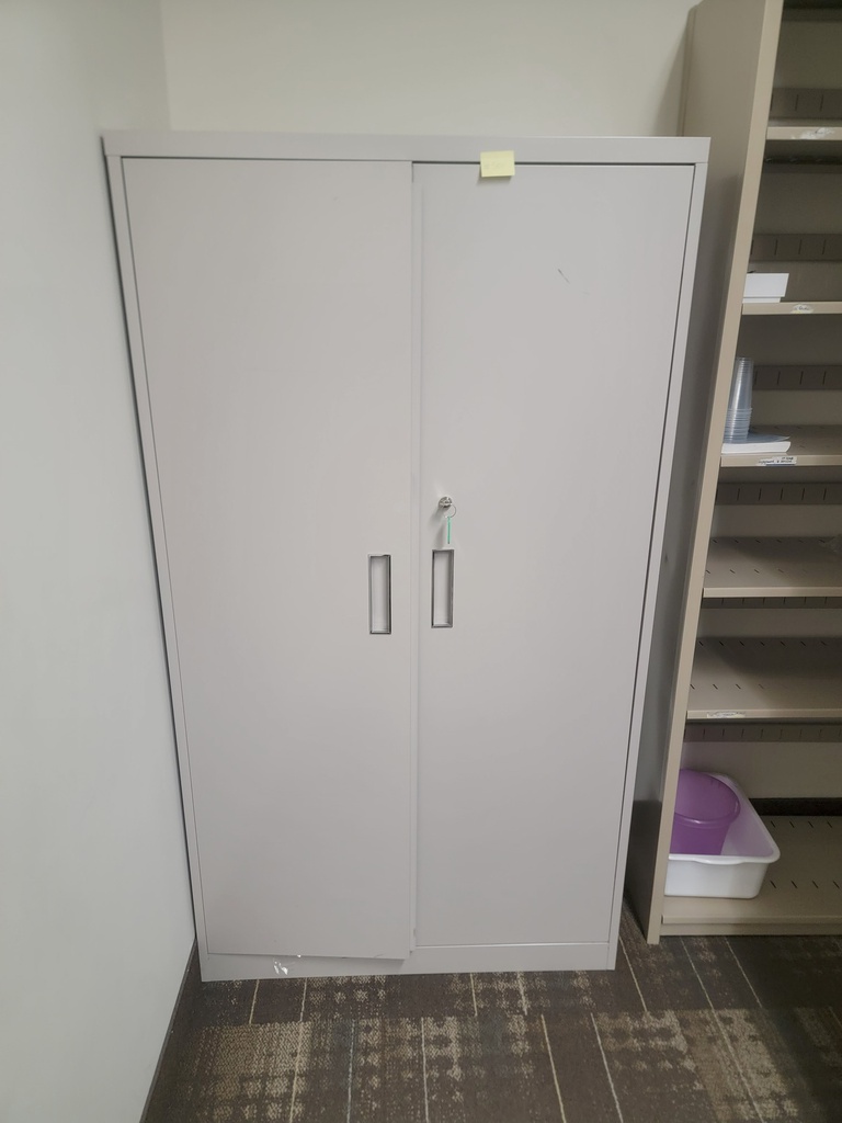 2 doors cabinet-metal
