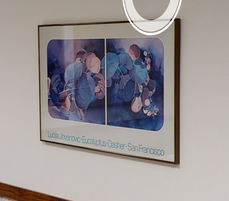 Art 5