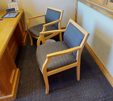 Guest Chair - Blue