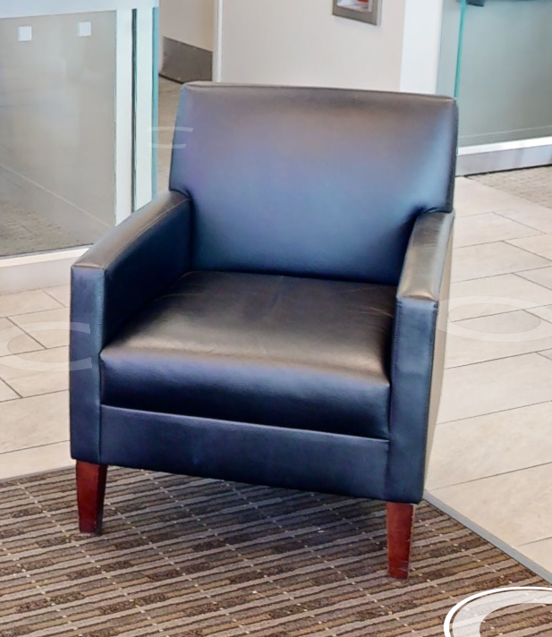 Black Lounge Chairs
