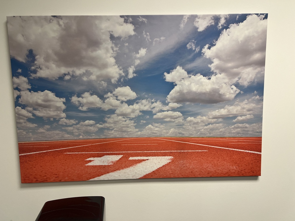orange field with cloudy blue sky