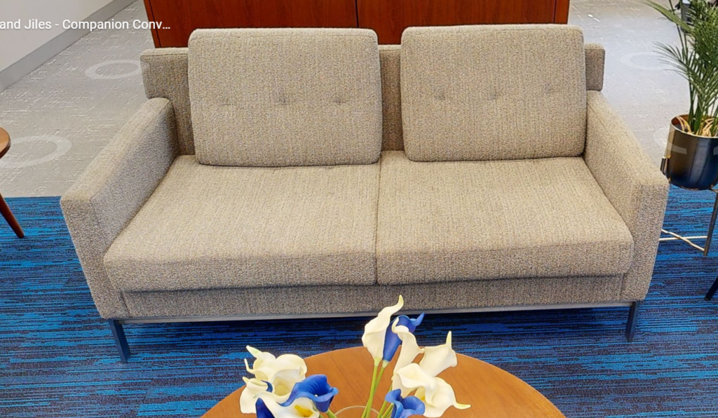 2 seat grey couch