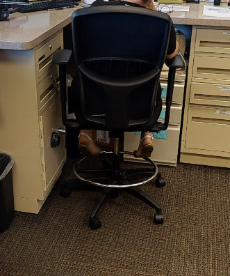 Teller Stools