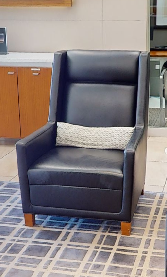 Lounge Chair