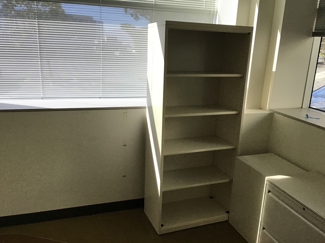 L14 W36 H63 Bookshelf