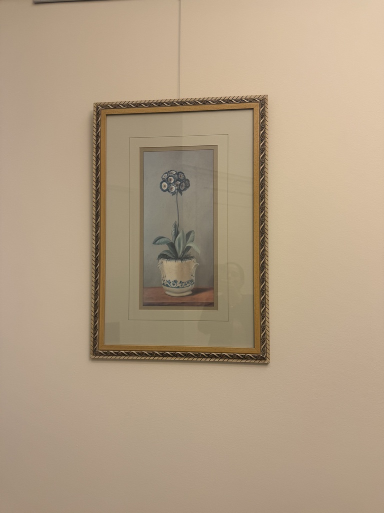 Miscellaneous Artwork (Assortment)