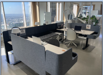 DISTRICT POWER SPINE - 4 PACK 