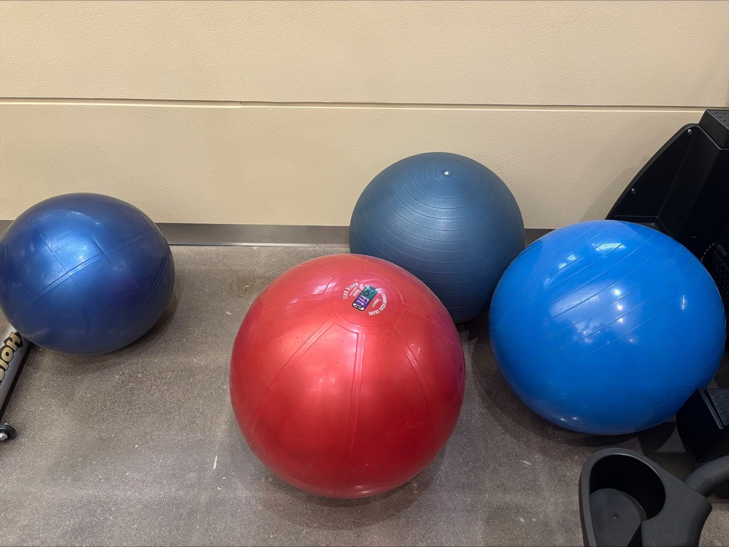 Exercise Balls