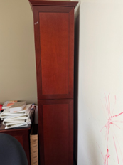 DOUBLE DOOR STORAGE CABINET