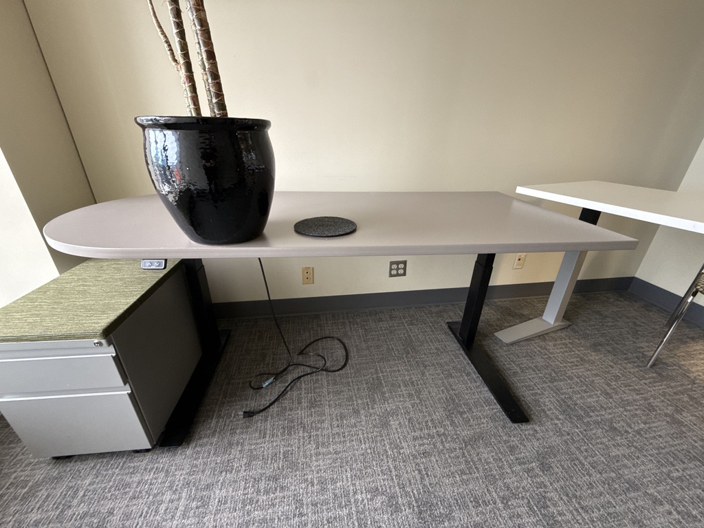 72X30 ADJUSTABLE DESK