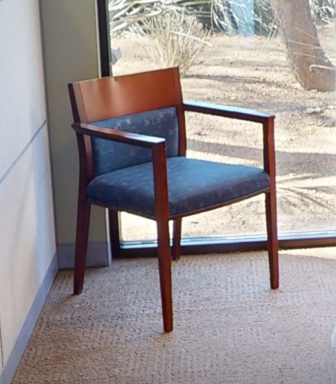 Blue patterned guest chair