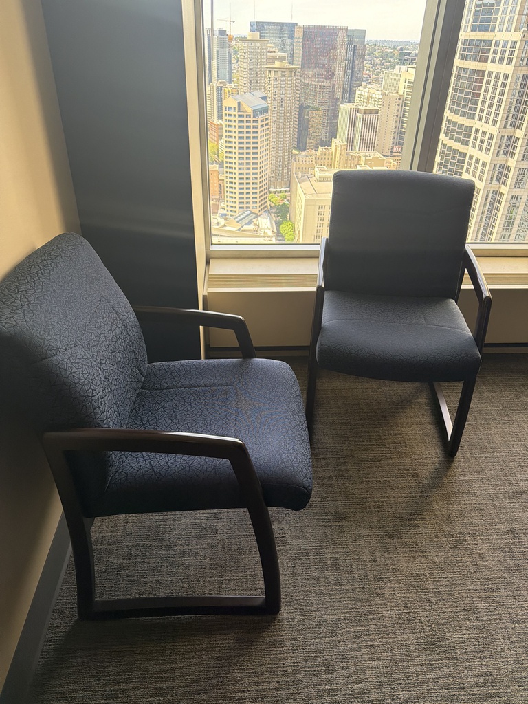 BLUE GUEST CHAIRS