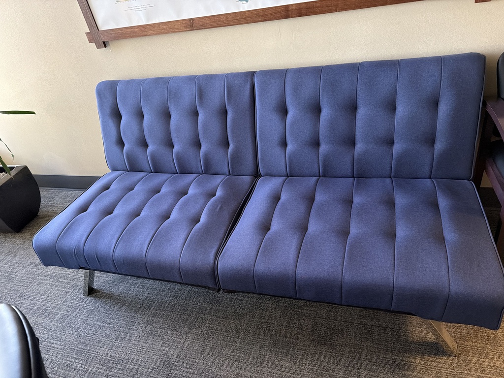 BLUE COUCH