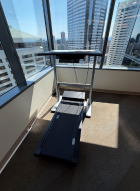 WALK STATION (TREADMILL DESK)
