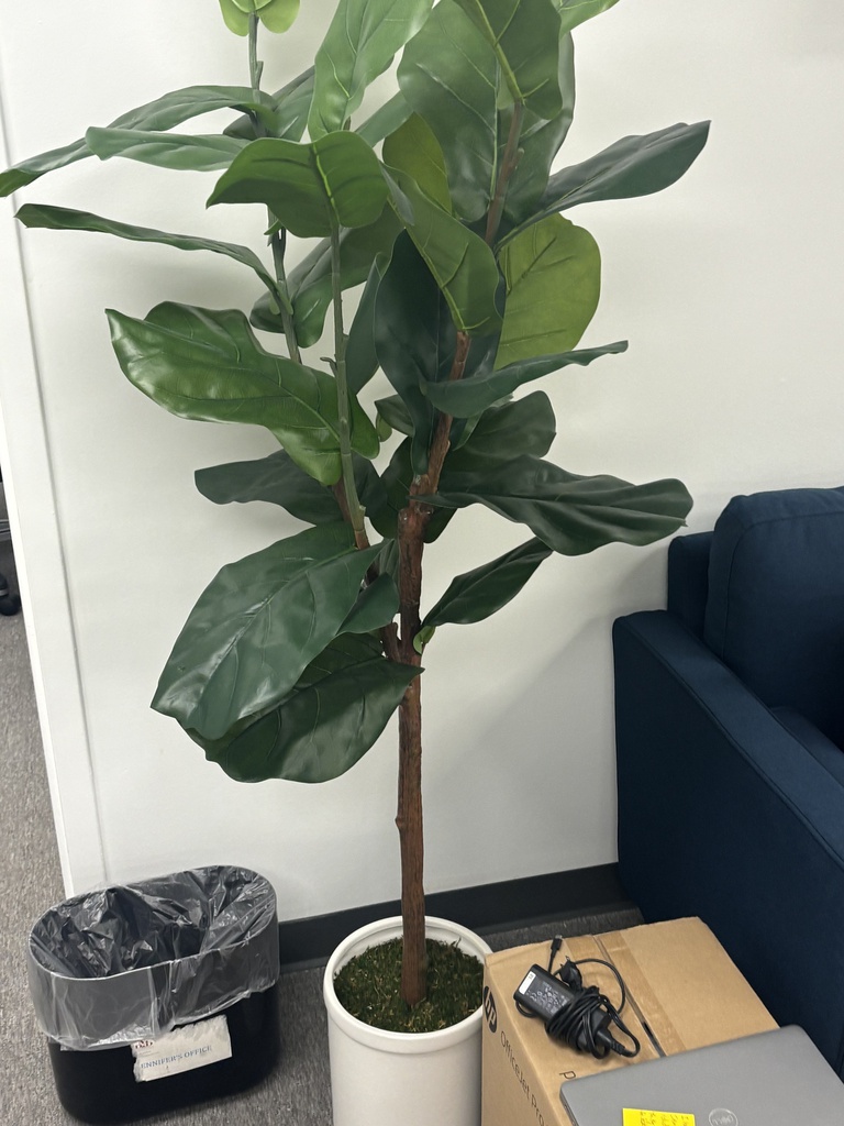Plant