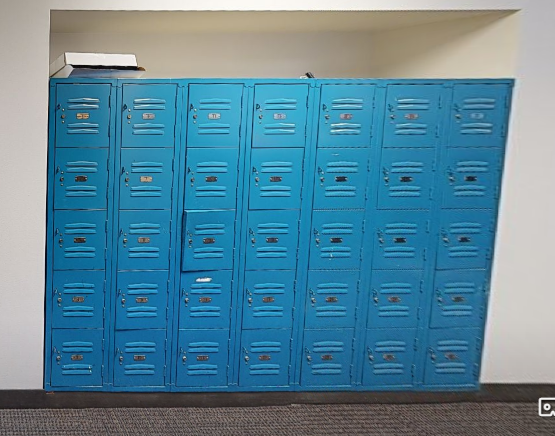 5 bin lockers