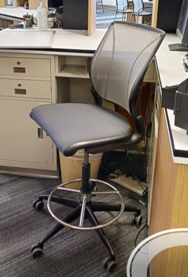 Teller task chair no arms
