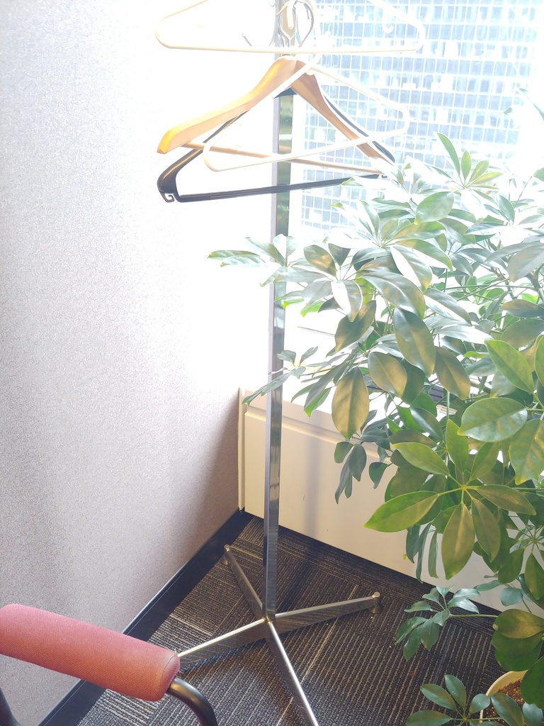 Assorted Coat Hangers