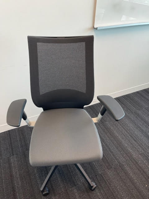 Task Chair - Gray, Mesh