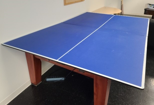 Ping Pong Table