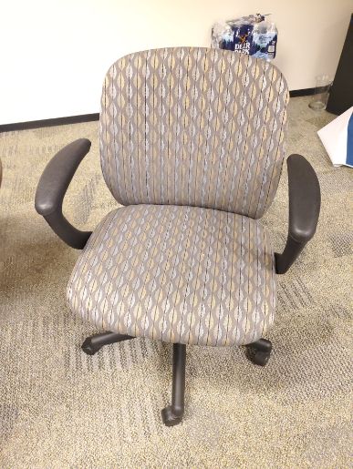 Patterned Task Chair