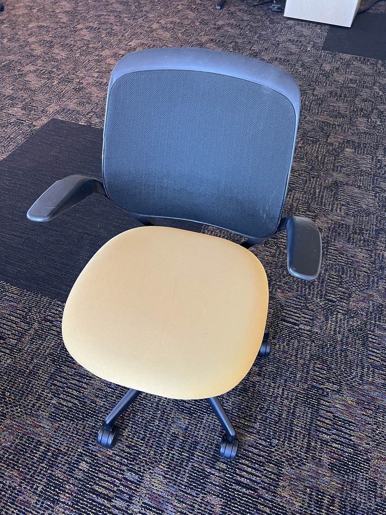 Steel case chair (black and yellow)