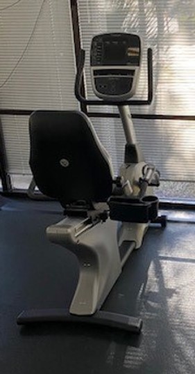 Stationary Bike with Back
