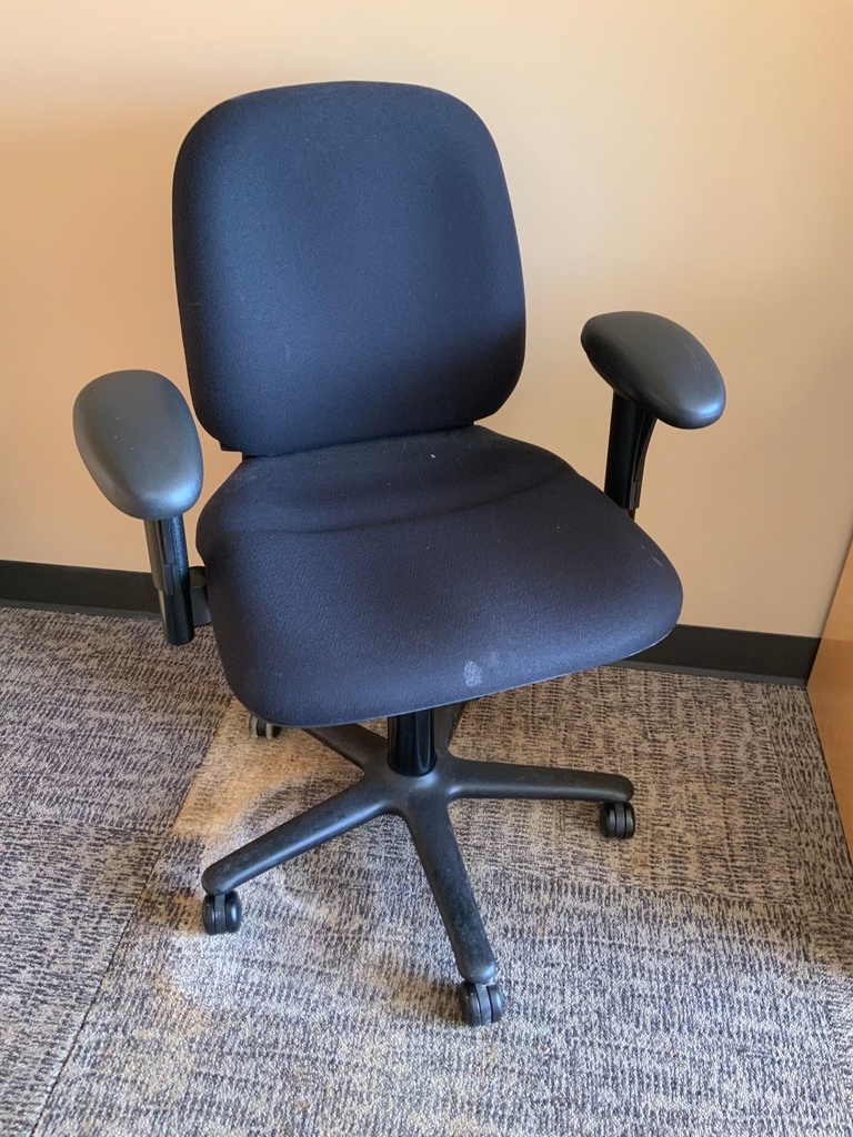 Management Task Chair w/ Height Adjustable Arms, Mesh Back