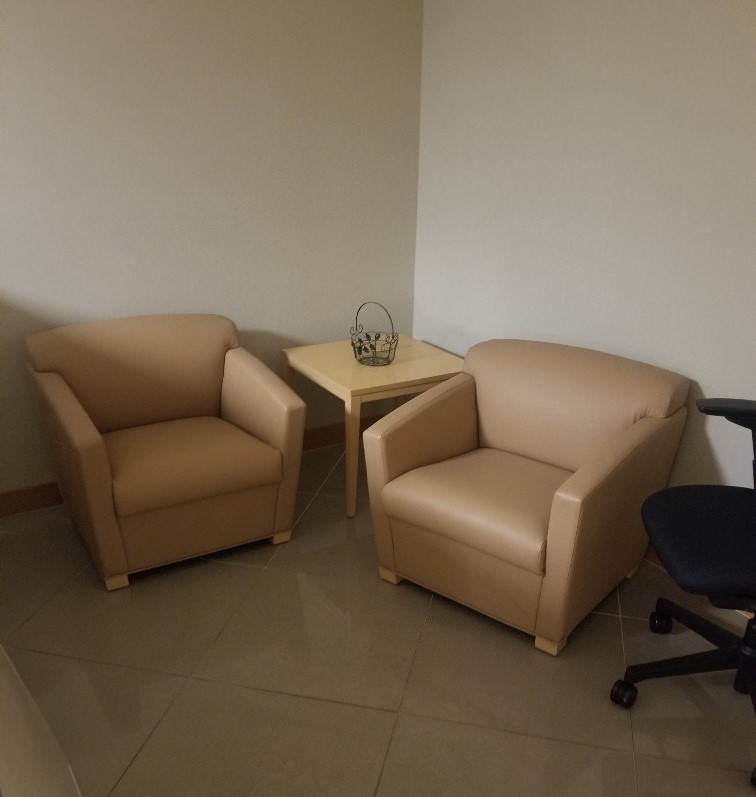 Cream Leather Chairs