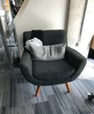 Lounge Chair, dark grey