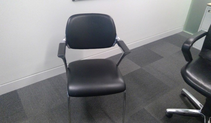 MEETING CHAIR